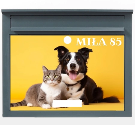 Skrzynka na listy F1 z drukiem UV