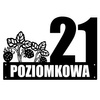 Numer na dom z poziomką